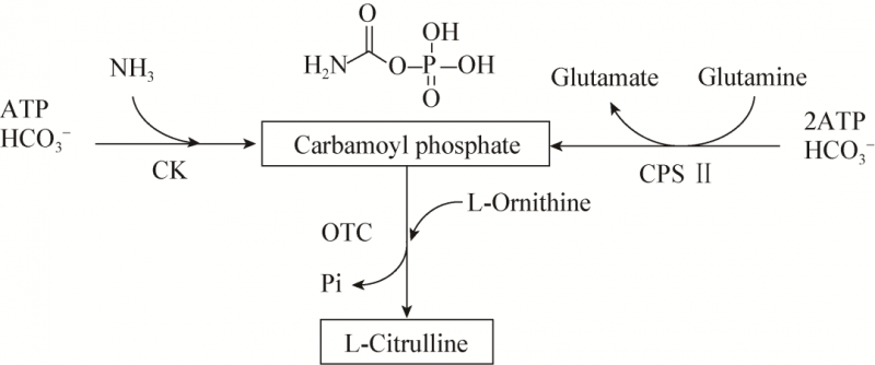 點(diǎn)擊打開原圖