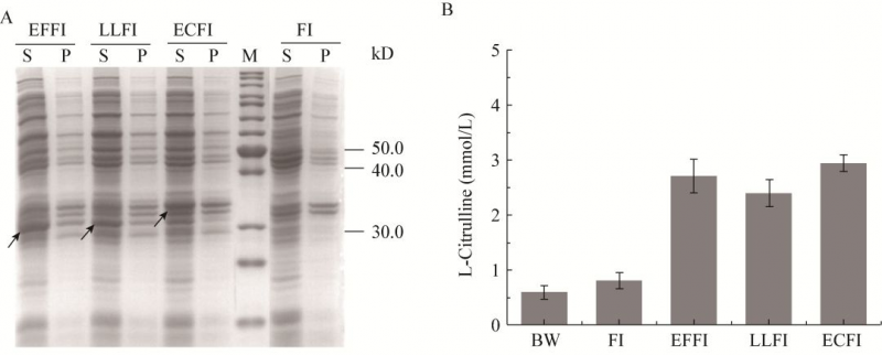 點(diǎn)擊打開原圖