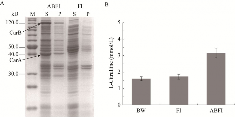 點(diǎn)擊打開原圖